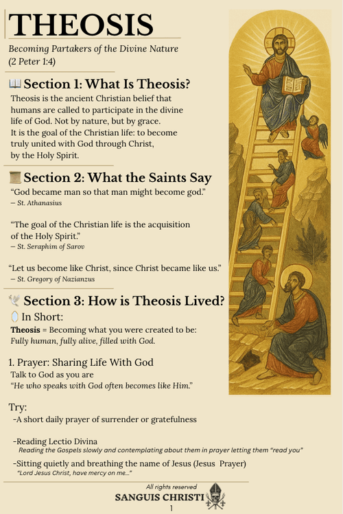 Theosis Info Flyer - Sanguis Christi